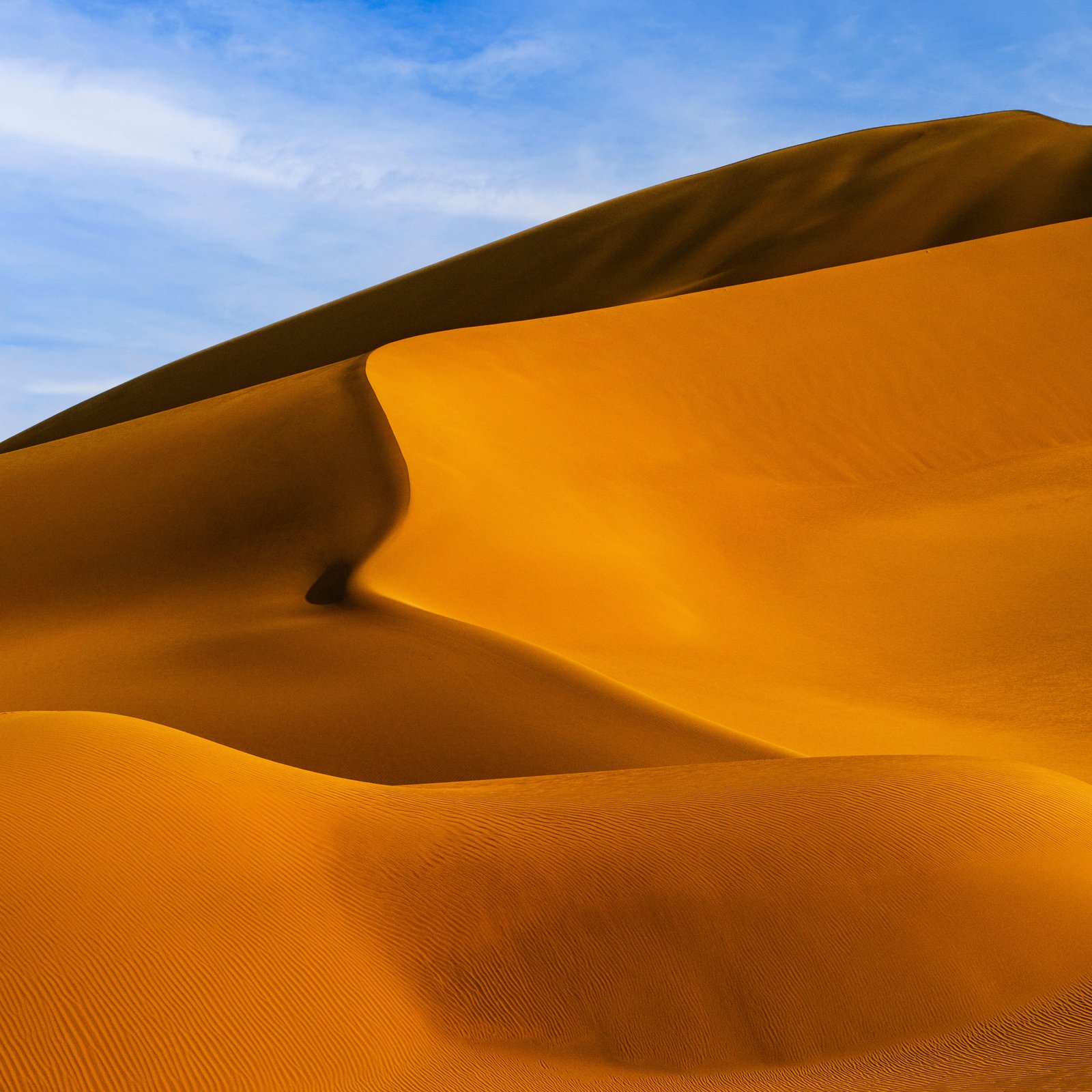 Beautiful golden sand dunes in a desert landscape under a bright blue sky.