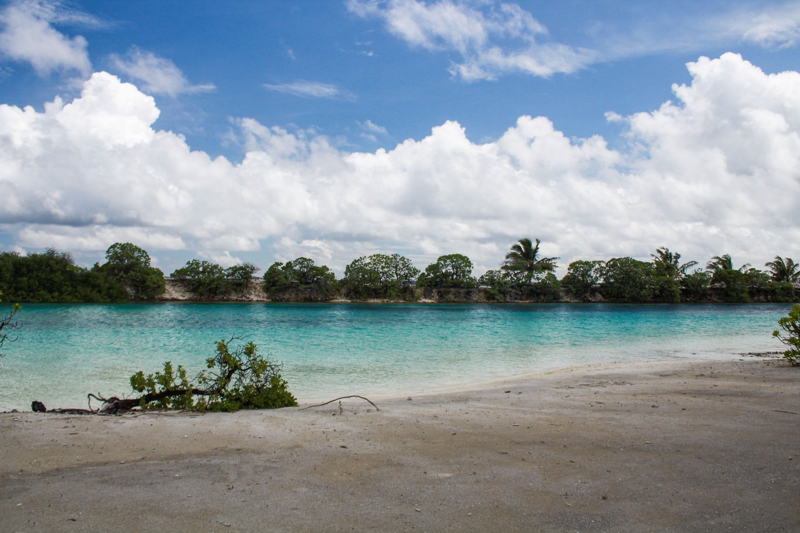 Scenic beach view in the Maldives featuring clear blue water, sand, and lush greenery under a bright sky.