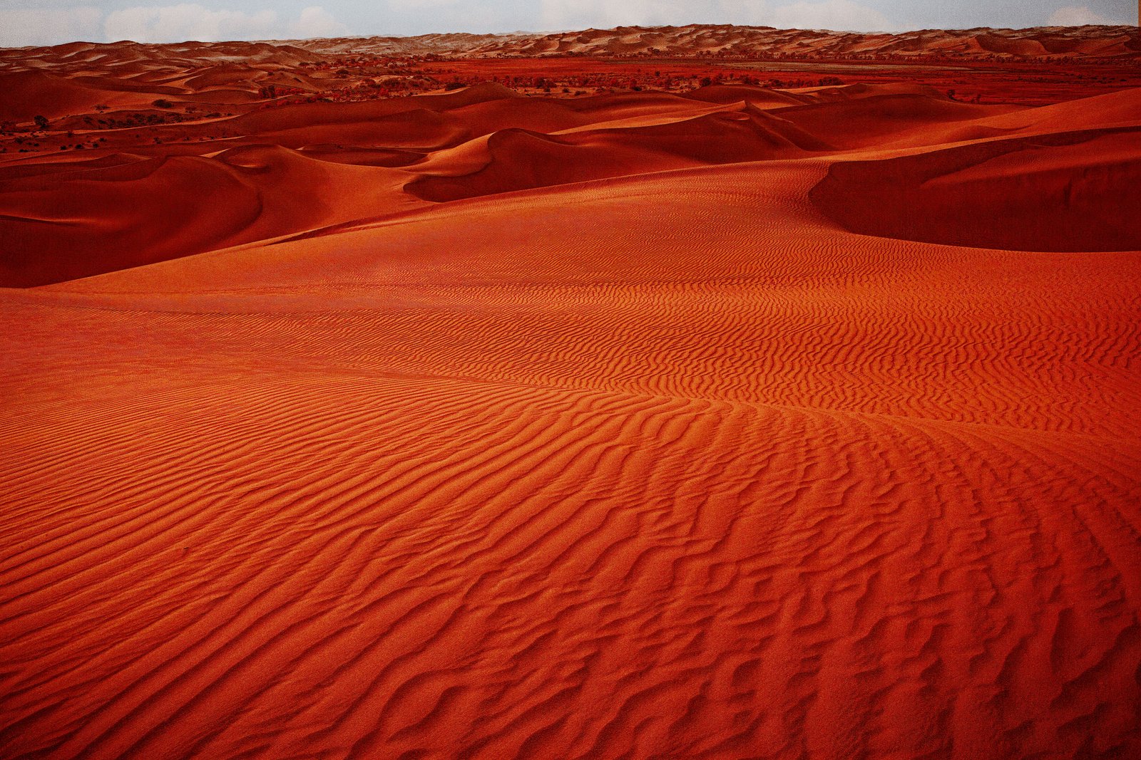 Vibrant red sand dunes creating a striking desert landscape under clear skies.